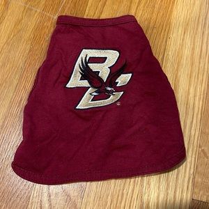 ALL STAR DOGS BOSTON COLLEGE top